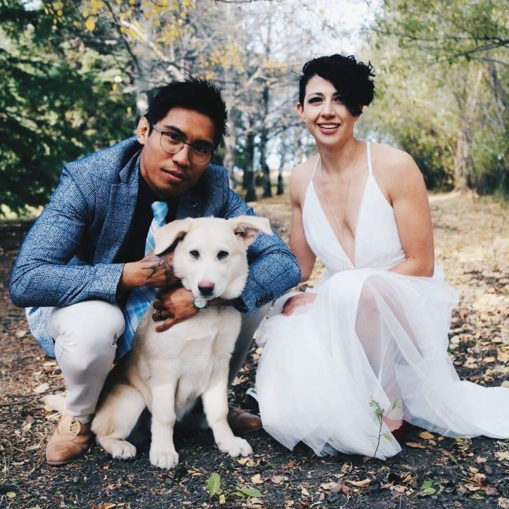 Meet your Posher, Grey